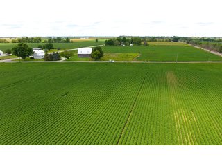 Property photo 14 - LAND AUCTION - 84+/- ACRES IN RUSH COUNTY, INDIANA
